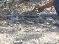 DSCN8056.JPG
