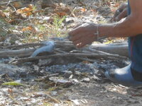 DSCN8058.JPG
