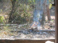 DSCN8059.JPG