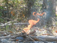 DSCN8060.JPG