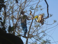 DSCN8035.JPG