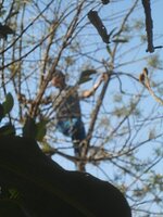 DSCN8033~2.JPG
