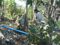 DSCN8037.JPG