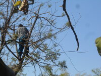 DSCN8038.JPG