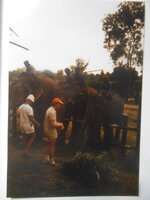 IMG-20260517-WA0038.jpg