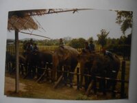IMG-20260517-WA0030.jpg