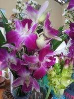 IMG_20260523_173050_634.jpg
