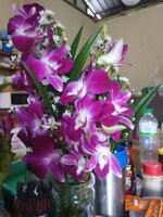 IMG_20260523_173042_789.jpg