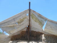 DSCN8044.JPG