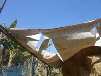 DSCN8045.JPG