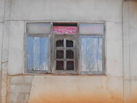 DSCN8040.JPG