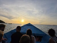 20260524_061943.jpg