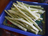 DSCN8070.JPG DSCN8070.JPG