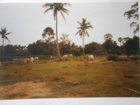 IMG-20260517-WA0051.jpg