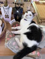 IMG_5156.jpeg
