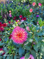 20230905_112728.jpg