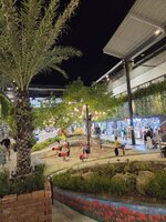 20260525_202909.jpg