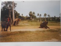 IMG-20260517-WA0047.jpg