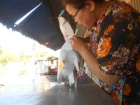 DSCN8156.JPG DSCN8156.JPG