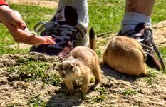 IMG_20260526_114634.jpg