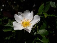 IMG-20260525-WA0004.jpg
