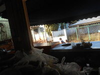 DSCN8097.JPG DSCN8097.JPG