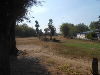 DSCN8131.JPG