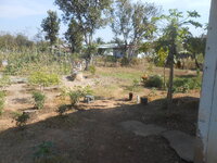 DSCN8117.JPG DSCN8117.JPG