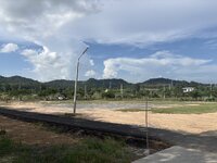 IMG_3528.jpeg
