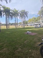 IMG_20260528_162646.jpg
