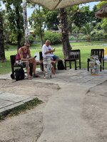 20260529_095031.jpg 20260529_095031.jpg