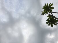20260529_182040.jpg