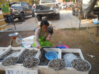 DSCN7326.JPG DSCN7326.JPG