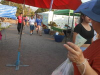 DSCN7334.JPG DSCN7334.JPG
