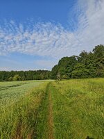 IMG_20260530_082448.jpg