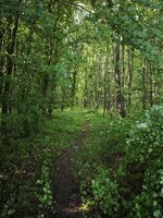 IMG_20260530_084522.jpg