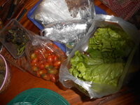 DSCN7350.JPG DSCN7350.JPG