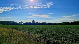 20260601_082455.jpg