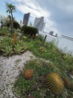 20260602_131541.jpg