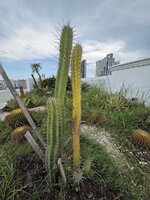 20260602_131609.jpg