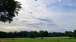 20260602_084243.jpg