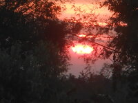 DSCN7986.JPG