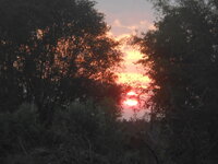 DSCN7985.JPG