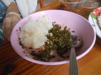 DSCN7973.JPG