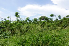 DSC09478.JPG
