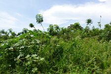 DSC09479.JPG