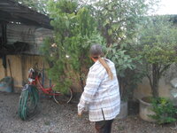 DSCN7981.JPG