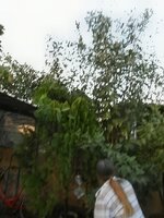 DSCN7982~4.JPG
