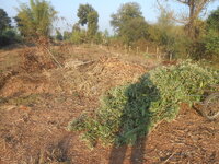DSCN7990.JPG