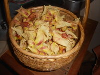 DSCN8288.JPG